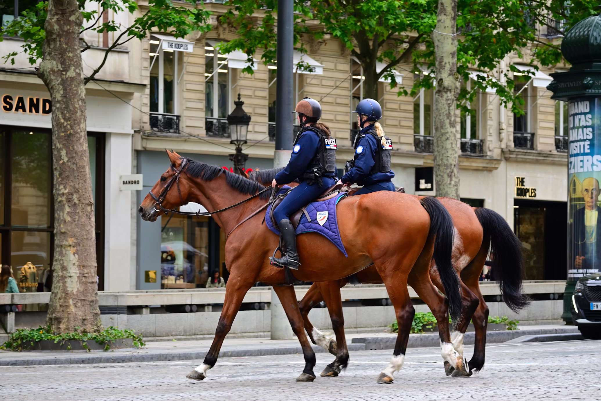 Mounted & Patrol